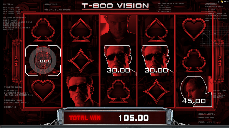 T-800 Vision