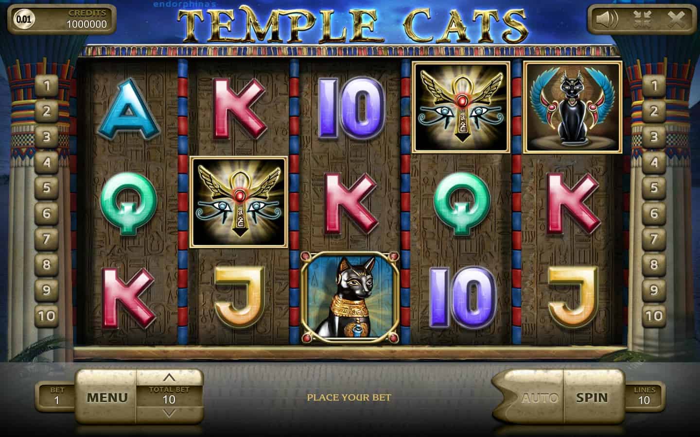 Temple Cats Review