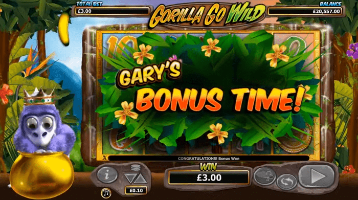 Gary's Bonus Time