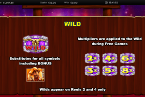 Wild & Bonus Symbols