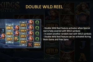 Double Wild Reel