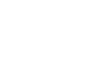 RealTime Gaming Slots