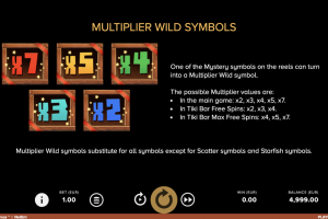 Multiplier Wild Symbol