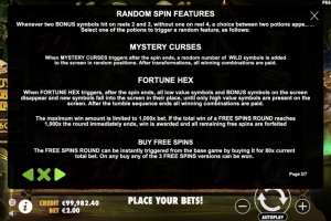 Random Spin Features