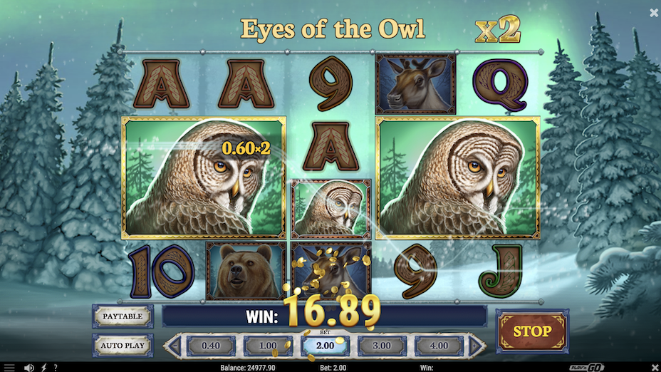 Eyes of the Owl