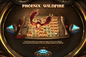 Phoenix Wildfire