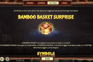 Bamboo Basket Surprise