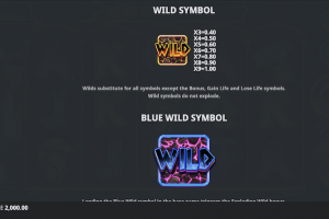 Wild Symbols