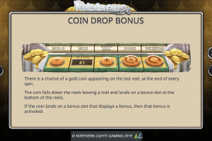 Coin Drop Bonus
