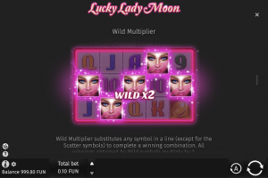 Wild Multiplier