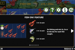 Fish On! Feature