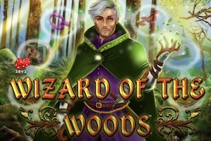 Wizard of the Woods Slot