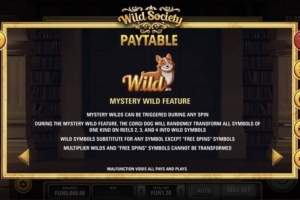 Mystery Wild Feature