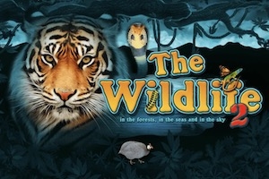 The Wildlife 2 Slot