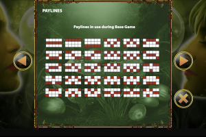 PayLines