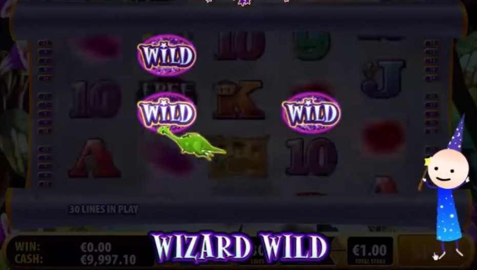 Wizard Wild Bonus