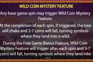 Wild Coin Mystery Feature Rules