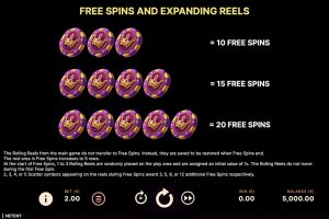 Free Spins and Expanding Reels