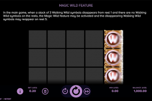 Magic Wild Feature Rules