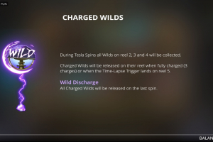 Charged Wilds