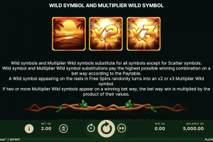 Wild Symbol Multiplayer
