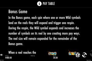 Bonus Game rules