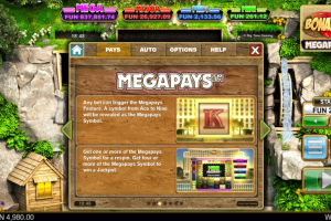 Megapays™ Feature rules