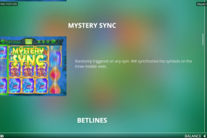Mystrery Sync Feature Rules