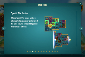 Special Wild feature rules