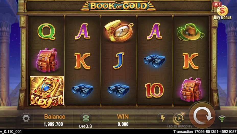 Book of Gold Slot Review