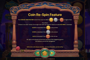 Coin Respin Rules