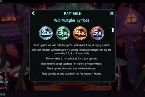 Wild Multiplier Symbols