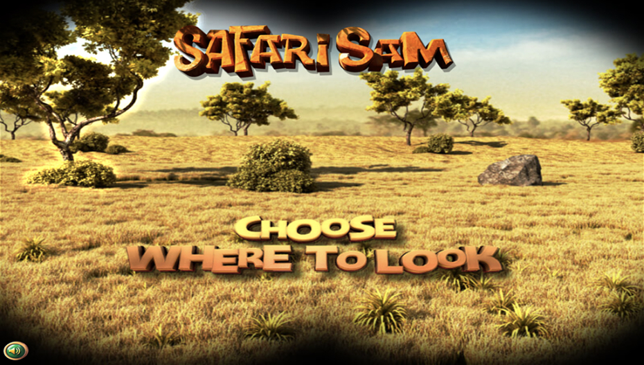 Safari Bonus Round Choose