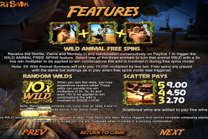 Features Free Spins