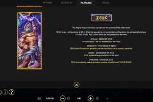 Zeus feature rules